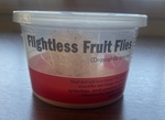 Flightless Fruit Flies