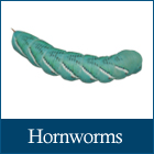 Hornworms